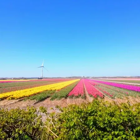 Anna, Strandhuisje Dichtbij Zee & Strand! Apartament Callantsoog