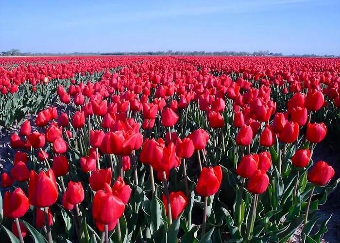 Anna, Strandhuisje Dichtbij Zee & Strand! Apartament Callantsoog