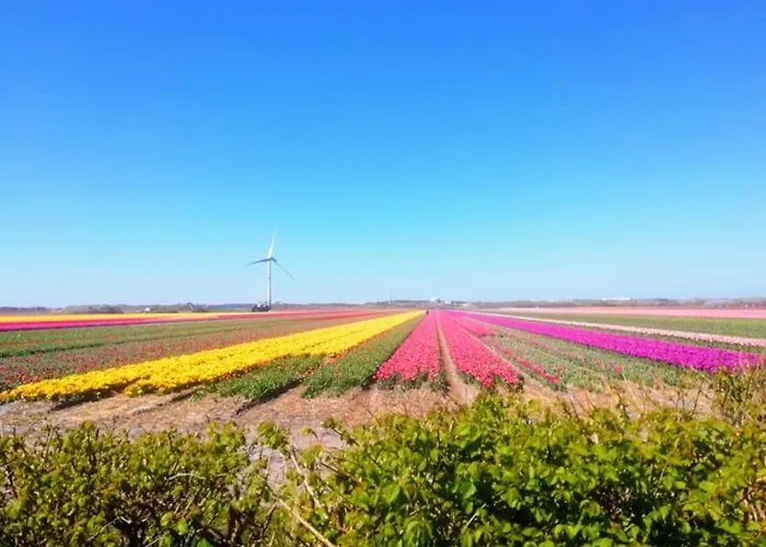 Anna, Strandhuisje Dichtbij Zee & Strand! Apartman Callantsoog